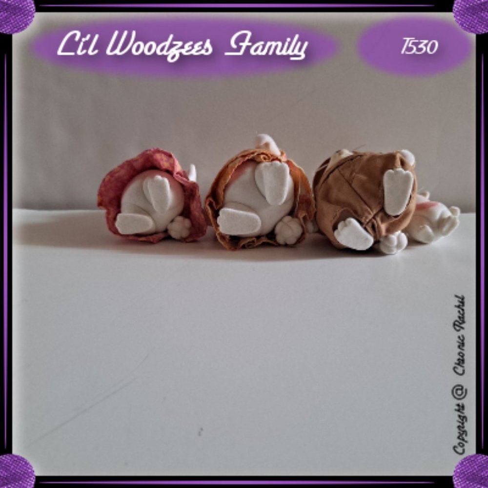 Hoppingood Rabbit Family - Picture 4 of 4